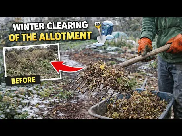 Video thumbnail for Winter Garden Cleanup | Preparing Beds for the Growing Season
