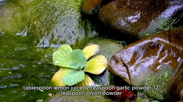 Video thumbnail for Oil-Free Crispy Kale Chips Recipe