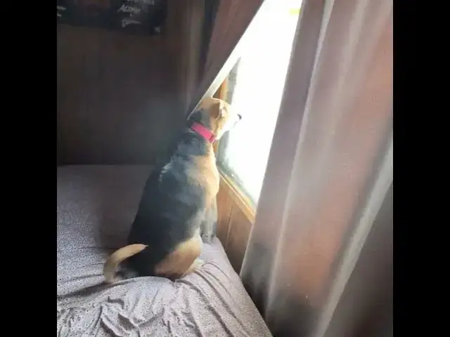 Video thumbnail for just random