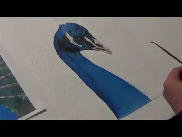 Video thumbnail for Peacock Speed Drawing: Drawing A Realistic Peacock In Coloured Pencil (1 Minute Drawing Video)