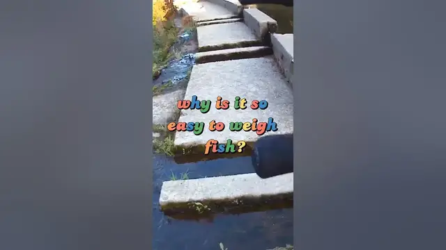 Video thumbnail for Fishing Joke 91 #jokes #fishingjokes #humor #joke