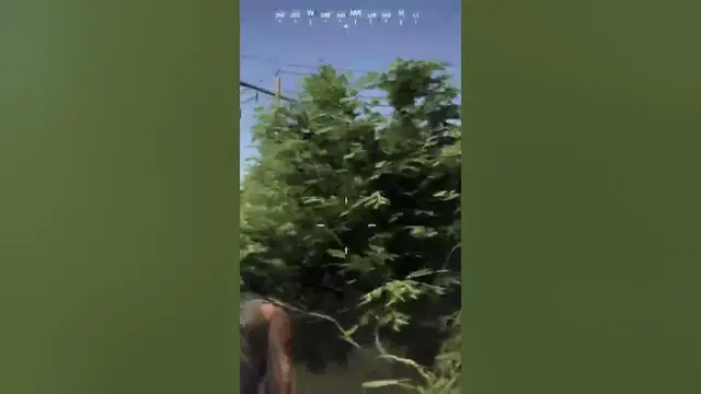 Video thumbnail for ghost recon wildlands camping