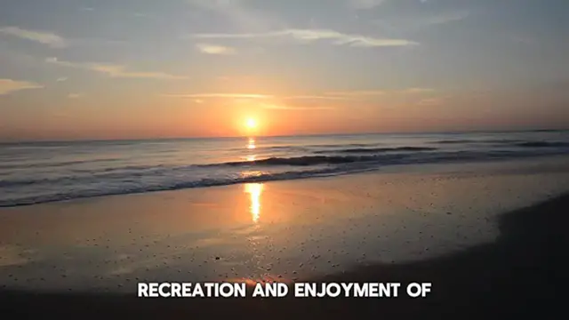 Video thumbnail for "Dive into Discovery: 10 Fascinating Beach Fun Facts You Need to Know!"