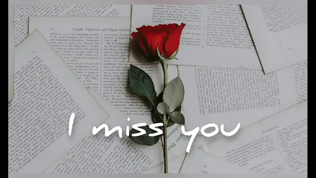 Video thumbnail for I miss you message to my love • I truly miss you deeply 💕