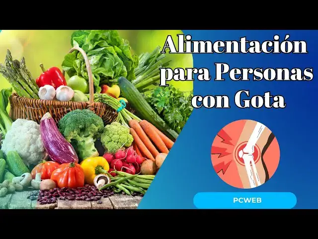 Video thumbnail for Alimentación Recomendable para Personas con Gota