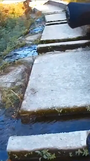 Video thumbnail for Fishing Joke 81 #jokes #fishingjokes #humor #joke