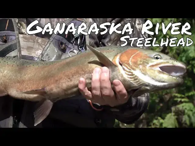 Video thumbnail for Fishing Ganaraska River for Steelhead | Fish'n Canada