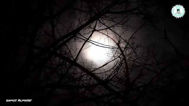 Video thumbnail for ماهي فائدة القرآن الكريم؟  إستمع