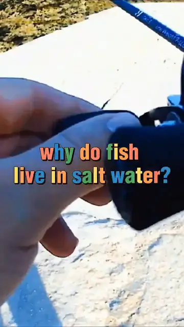 Video thumbnail for Fishing Joke 80 #jokes #fishingjokes #humor #joke