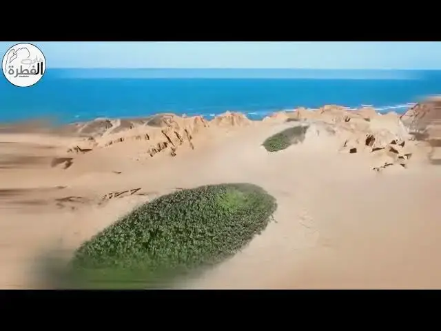 'Video thumbnail for يوم الأحد لماذا يسمى يوم الشمس باللغه الانجليزيه ،وقديما كان يسمى يوم الرب'