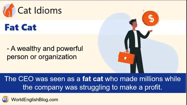Video thumbnail for “Fat Cat”| Common American English Expression