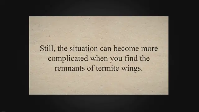 'Video thumbnail for What Flying Termites Look Like (Explained)'