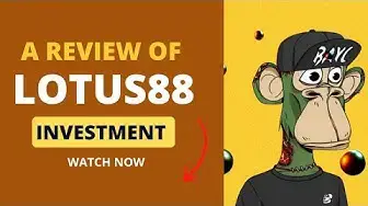 Video thumbnail for A Review of Lotus88.Vip Investment Platform (Watch before investing) #lotus #hyip #usdt #hyip_news