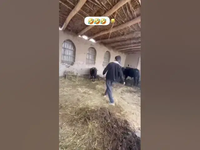 Video thumbnail for #funny #channelchatter 😂😂😂