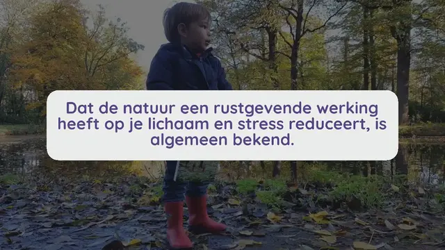 Video thumbnail for Bosbaden oefeningen in het zakboek voor bosbaden een boswandeling