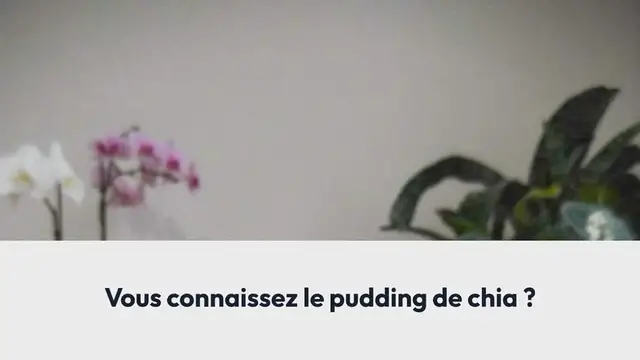 Video thumbnail for Pudding de chia coco, avocat, mangue, grenade et chocolat