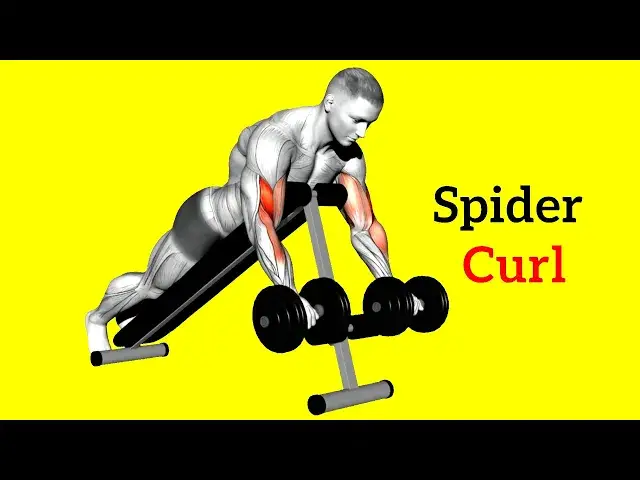 Video thumbnail for How to Do Spider Curls To Build Bigger Biceps