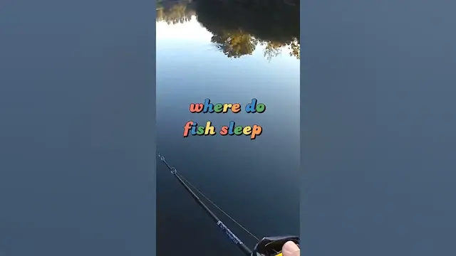 Video thumbnail for Fishing Joke 99 #jokes #fishingjokes #humor #joke