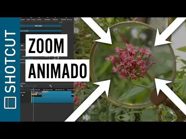 Video thumbnail for Como fazer ZOOM em vídeo (efeito ampliar, shotcut)