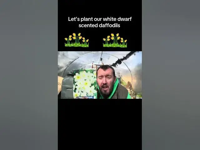 'Video thumbnail for ✅ Plant Our White Dwarf Scented Daffodils 🌼🌱 | Easy Autumn Bulb Guide for a Fragrant Spring Garden'