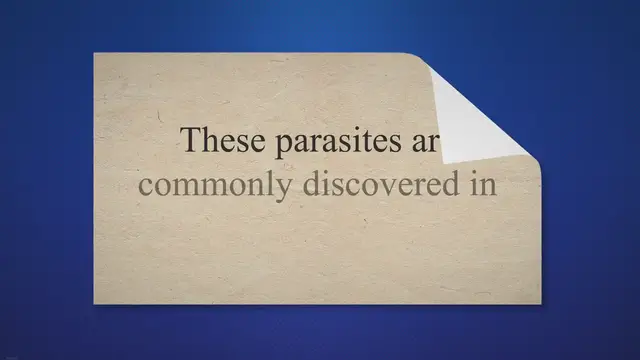 'Video thumbnail for Ascaris lumbricoides – Structure, Reproduction, Life Cycle, Characteristics'