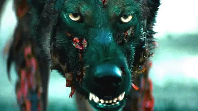 Video thumbnail for The Most Disturbing Movies Of The Century So Far