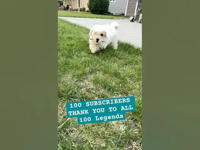 Video thumbnail for 1 K NEXT #shorts