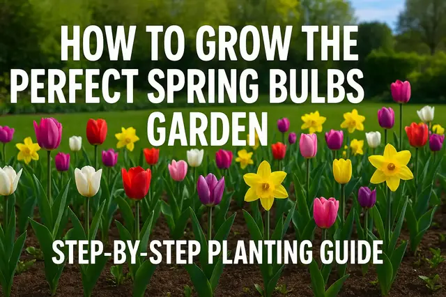 'Video thumbnail for ✅ “How to Plant Spring Bulbs | Step-by-Step Guide to a Colourful Garden'
