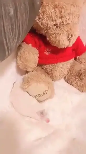 Video thumbnail for Make Your Day with Dog EP   139  AdorableDog