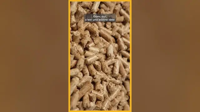 Video thumbnail for 🫘 Acheter des pellets hors saison : est ce vraiment une bonne idée ? 💥