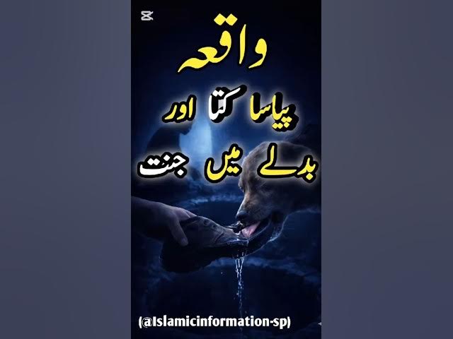 Video thumbnail for Small Act, Big Reward | Pyase Kutte Ka Waqia 🐶#IslamicShorts#PyasaKutta#MercyInIslam#IslamicReminder