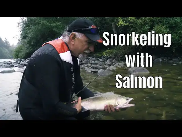 'Video thumbnail for Anglers Snorkel With Thousands Of Salmon: Then Catch Em’ | Fish'n Canada'