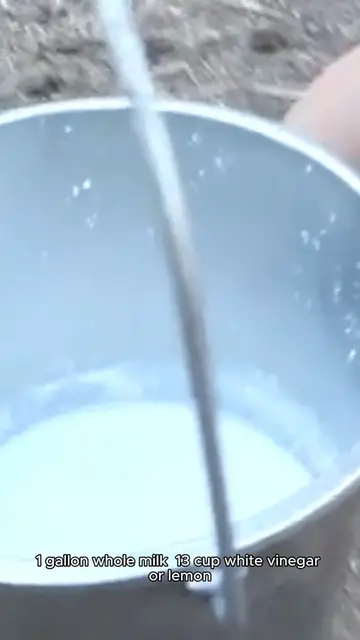 Video thumbnail for ricotta cheese recipe