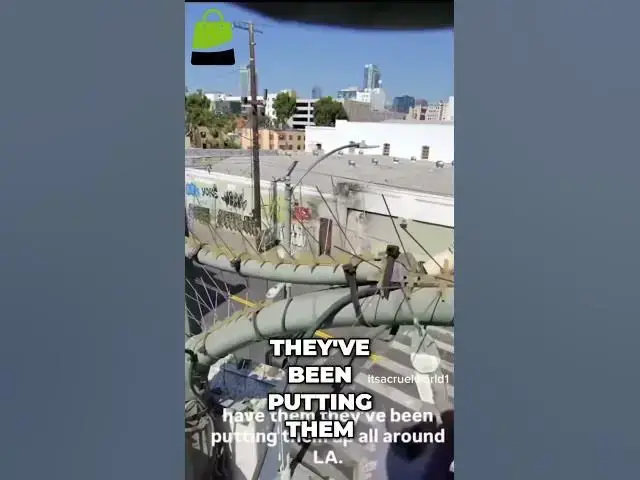 'Video thumbnail for LA's Hidden Cameras: Uncovering a Secret YouTube Stream #shorts'