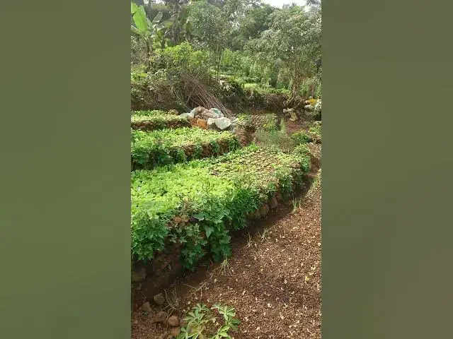 'Video thumbnail for The beautiful view of Vegetable Land.'