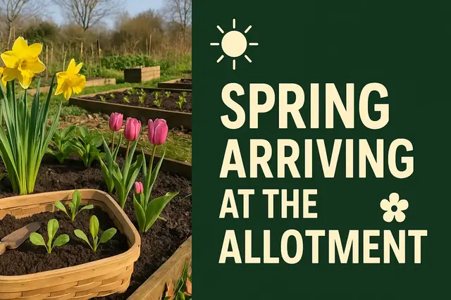 'Video thumbnail for Spring arriving at the Allotment'