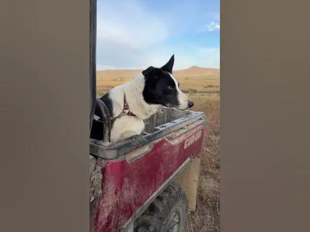 'Video thumbnail for The Best Kitchen View in the World | Cooking for Cowboys on the Ranch'