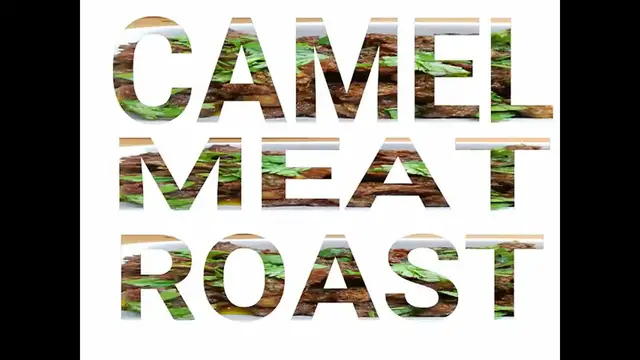 Video thumbnail for Roasted Camel Meat Recipe - How to make Camel Meat Roast