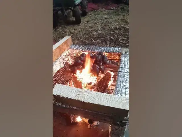 Video thumbnail for 23 December 2024