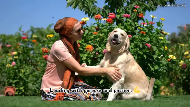 Video thumbnail for Discover the Perfect Dog Captions for Instagram and Pinterest That Celebrate Your Furry Friend's Adorable Moments, Showcase Their Playful Antics, Capture Heartwarming Memories, and Highlight the Unbreakable Bond