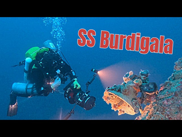 Video thumbnail for SS Burdigala - The Best Shipwreck Dive You've Never Heard Of