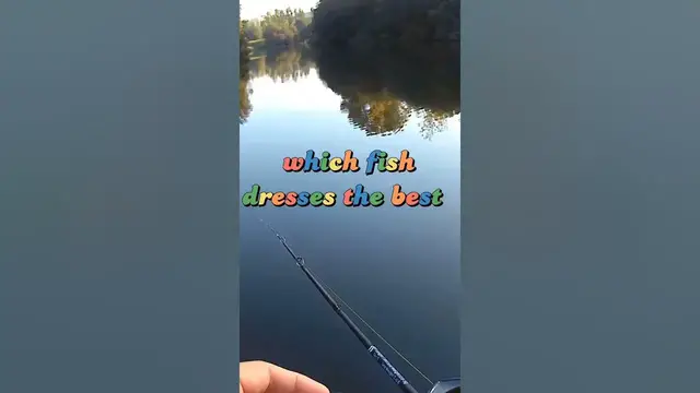 Video thumbnail for Fishing Joke 103 #jokes #fishingjokes #humor #joke