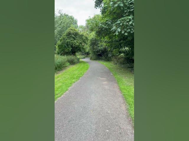 Video thumbnail for Bird sounds