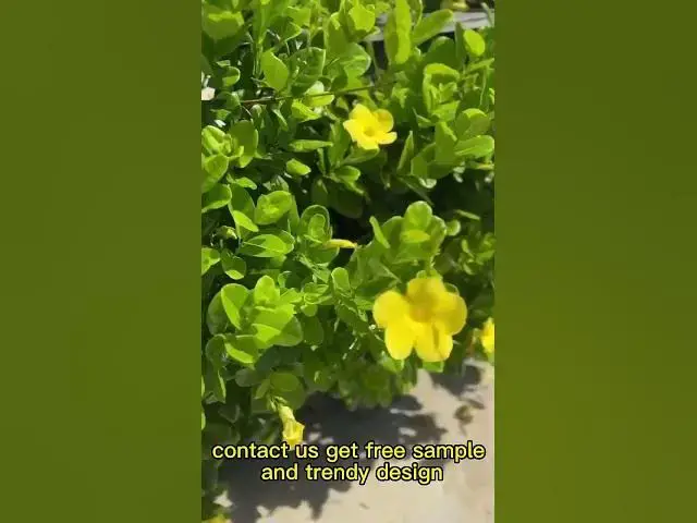 Video thumbnail for 💝 Opaque Tights 💝