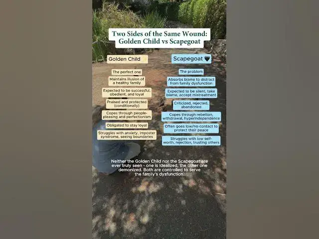 Video thumbnail for Family dynamics aren't random… they're engineered to keep dysfunction alive.