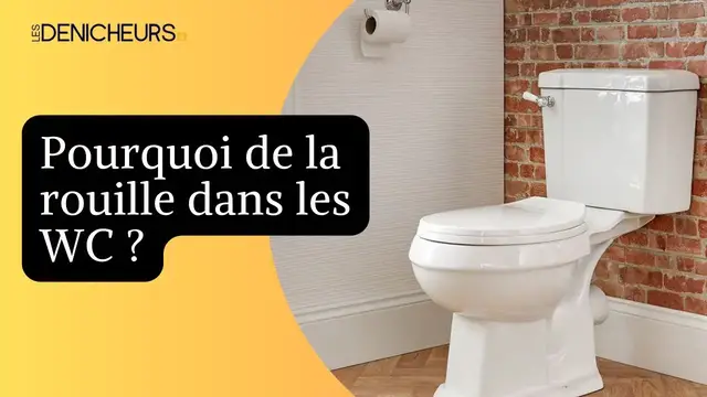 Video thumbnail for 🚽 Des tâches de rouille dans les toilettes : voici les astuces pour s’en débarrasser !  🔺
