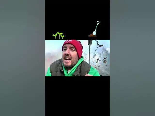 'Video thumbnail for 🎥 ✅ “A Tidy Garden is Nice, But a Happy Gardener is Better” 🌿 | Gardening Motivation & Advice'