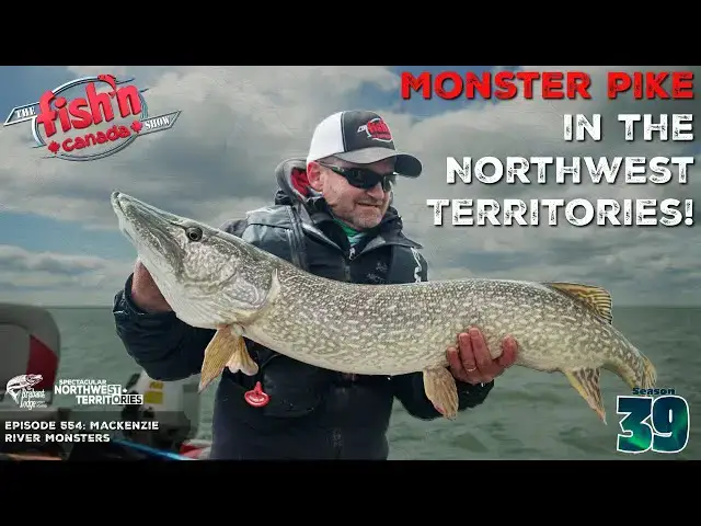 Video thumbnail for MONSTER PIKE in the Northwest Territories! | The Fish'n Canada Show