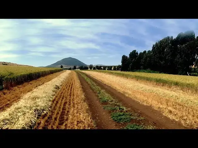 Video thumbnail for animating w7fdf-r 13