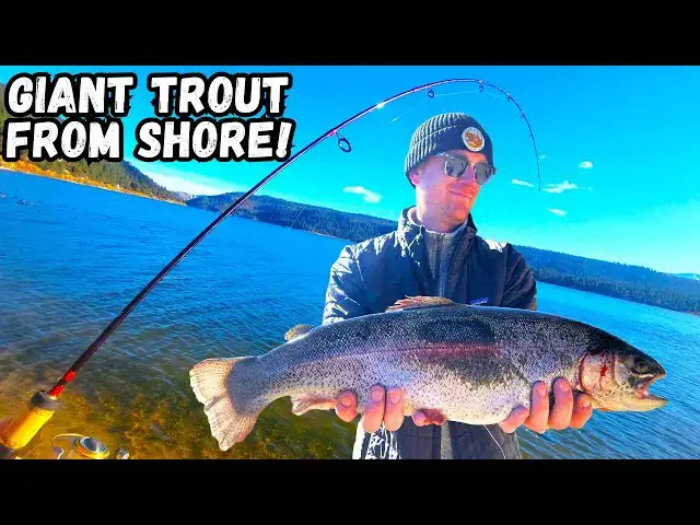 Video thumbnail for Catching GIANT Trout From Shore at Big Bear Lake | Amazing Fall Fishing!